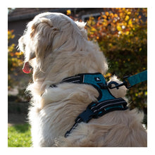 Afbeelding in Gallery-weergave laden, No Pull Harness Pet Tag