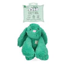Afbeelding in Gallery-weergave laden, Cozy Dog Bunny Groen