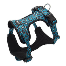 Afbeelding in Gallery-weergave laden, Hondentuigje Tante Snuf Panter Turquoise