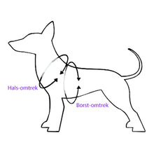 Afbeelding in Gallery-weergave laden, Hondentuigje Tante Snuf Panter Turquoise