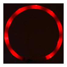 Afbeelding in Gallery-weergave laden, Led tube halsband 70cm, inkortbaar, usb oplaadbaar