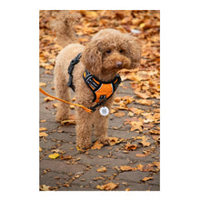 Afbeelding in Gallery-weergave laden, No Pull Harness Pet Tag
