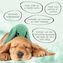 Afbeelding in Gallery-weergave laden, Cozy Dog Bunny Groen

